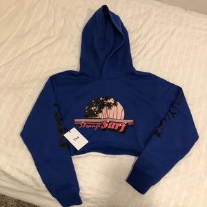 Brand new cropped Aritzia hoodie!